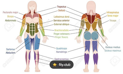 Link to: /pages/weightresistance-trainingsarcopenia